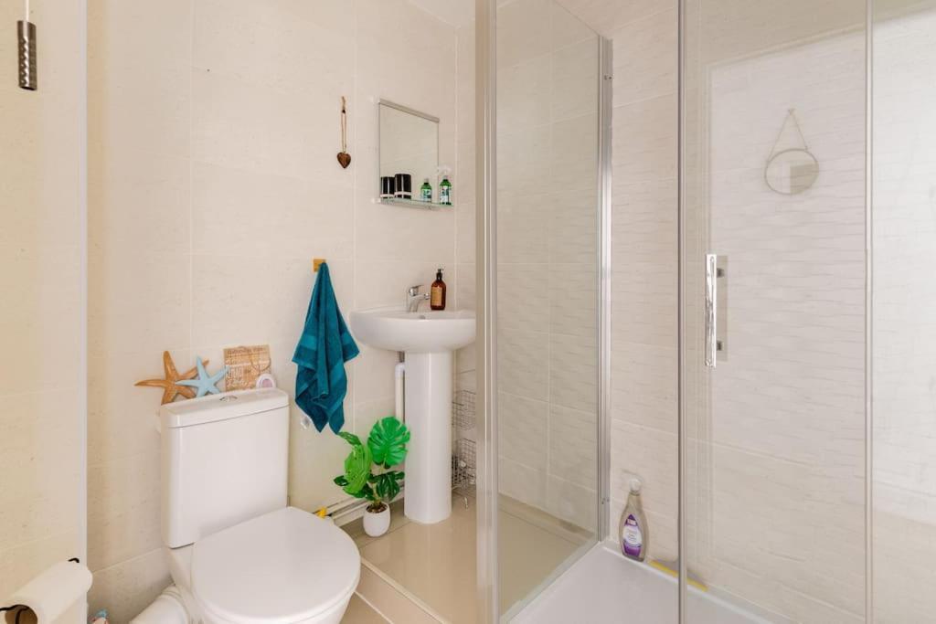 Modern Flat With Island Views In Heart Of Tenby Exteriör bild